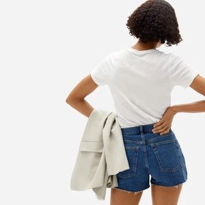 Everlane Cheeky Denim Short - Size 26